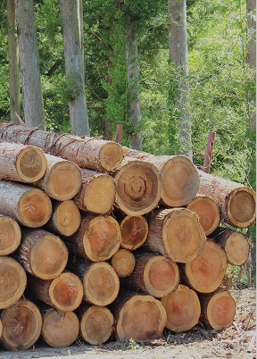 入荷状況バナー